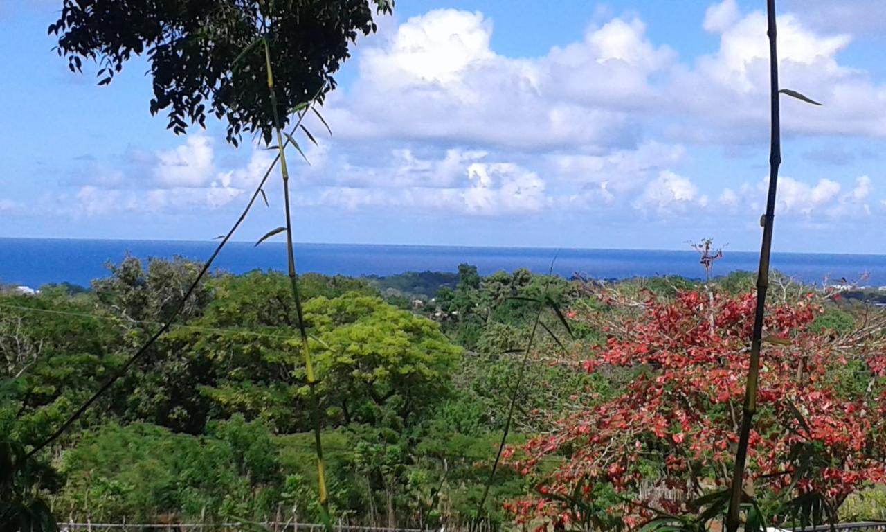 望海住宿加早餐旅馆 Sosúa 外观 照片
